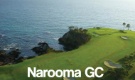 South Coast Swing - Narooma GC